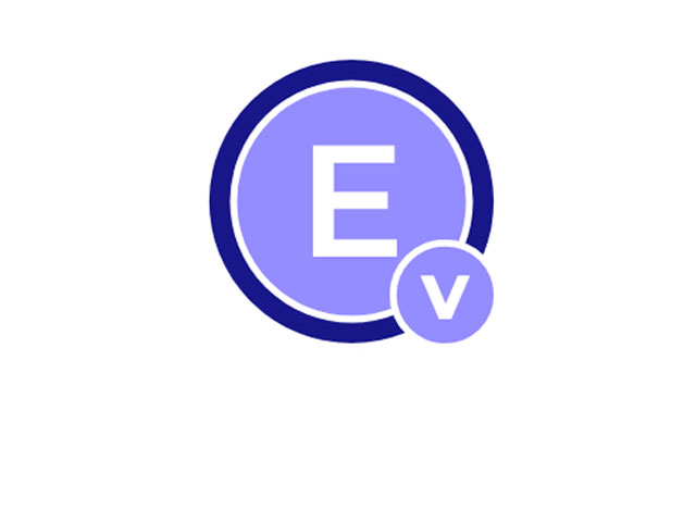 Виртуальный Шлюз Е