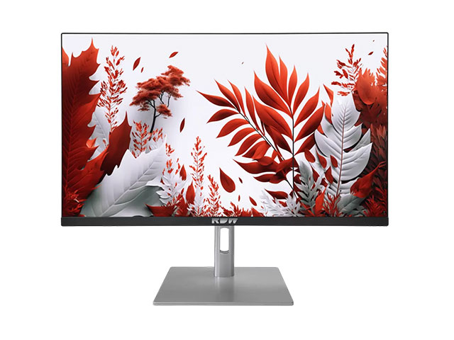 Монитор RDW 2414